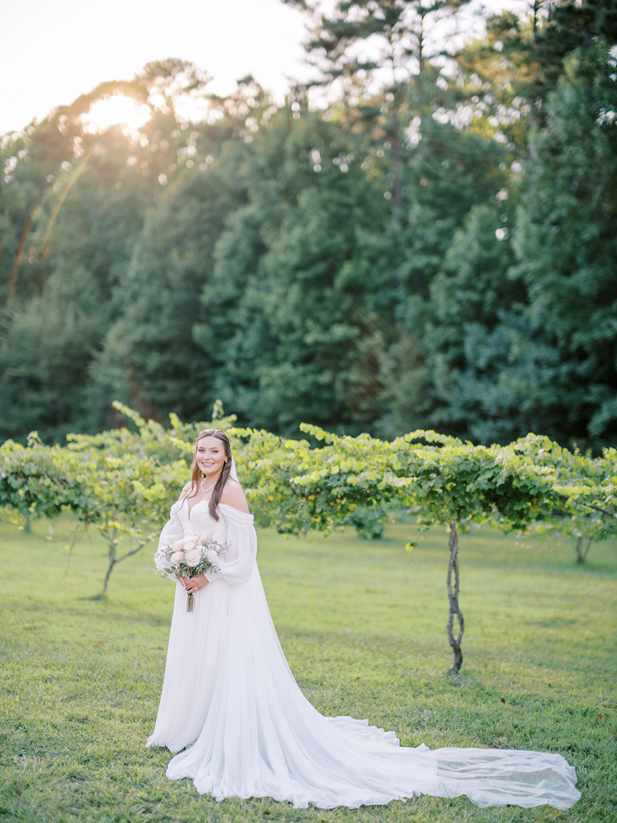 A bridal portrait captured on film of Cameron standing among the grapevines at The Vines of Lexington in South Carolina, photographed by Durham wedding photographer Jessica Leigh Mason.