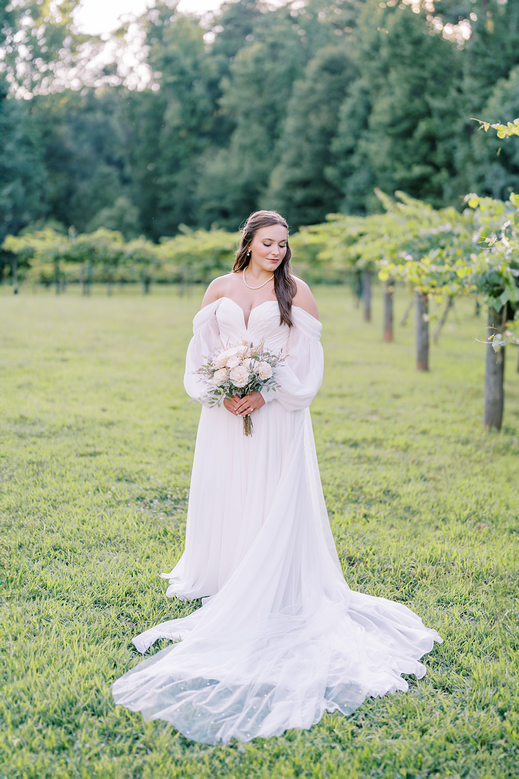 Cameron gently looks down over her shoulder while standing among the grapevines at The Vines of Lexington in South Carolina, captured by Durham wedding photographer Jessica Leigh Mason.