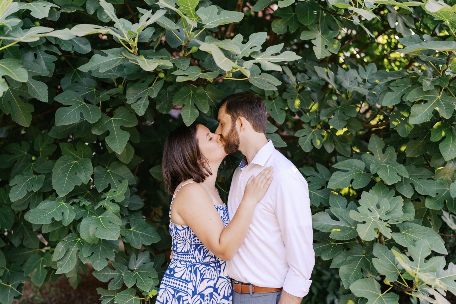 Katie and Sam sharing a sneaky kiss under the cover of a fig tree at Ayr Mount in Hillsborough NC during their anniversary photo session.