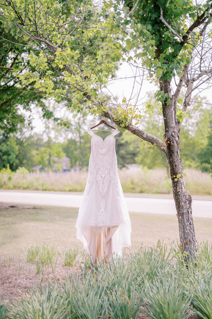 Champagne wedding dress hanging from a tree at River Landing in North Carolina