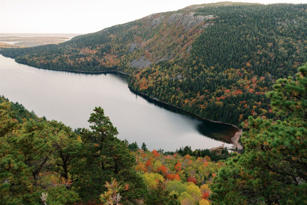 Acadia