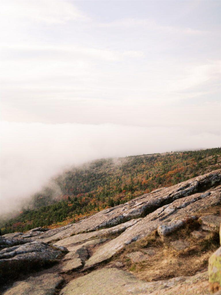 Acadia