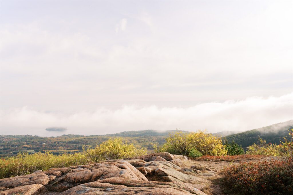 Acadia