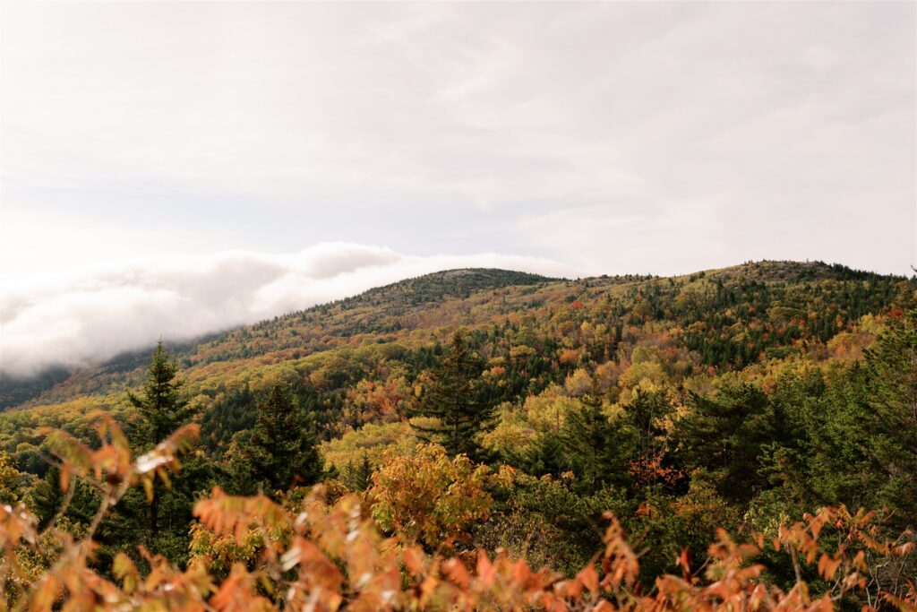 Acadia