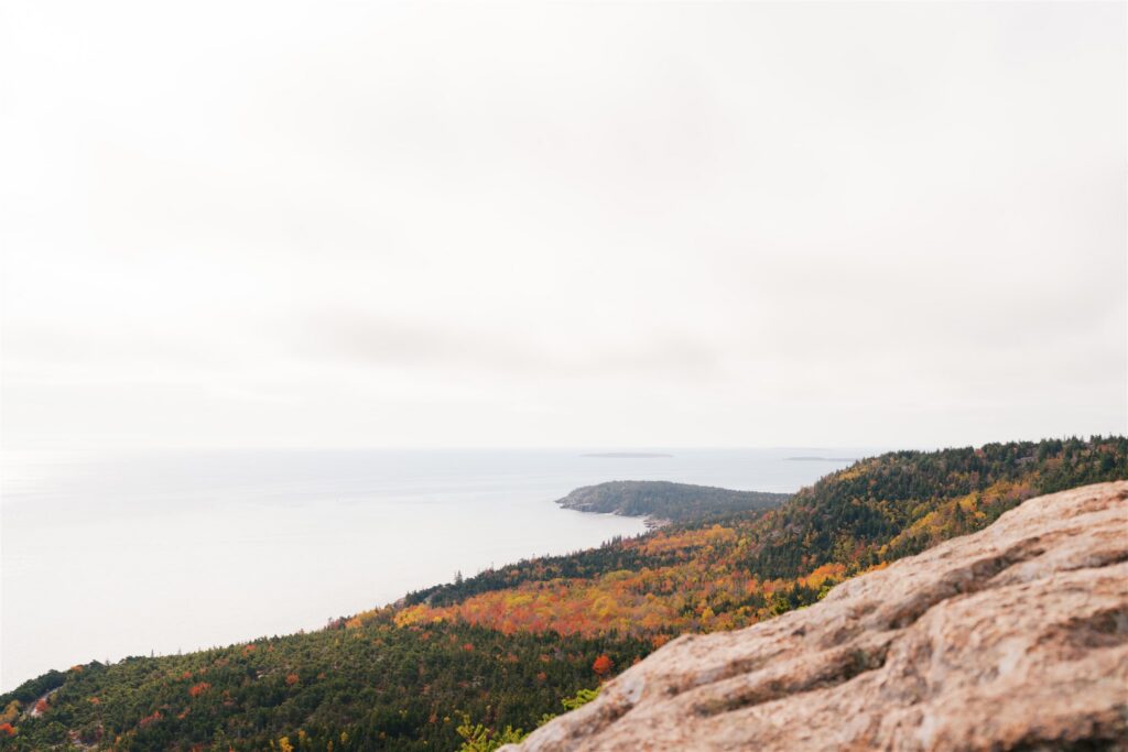 Colorful fall foliage along the rugged coastal cliffs seen from the top of the Beehive Trail in Acadia Maine
