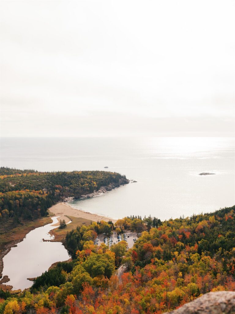 Aerial view of Sand Beach in Acadia Maine framed by vibrant fall color from above
