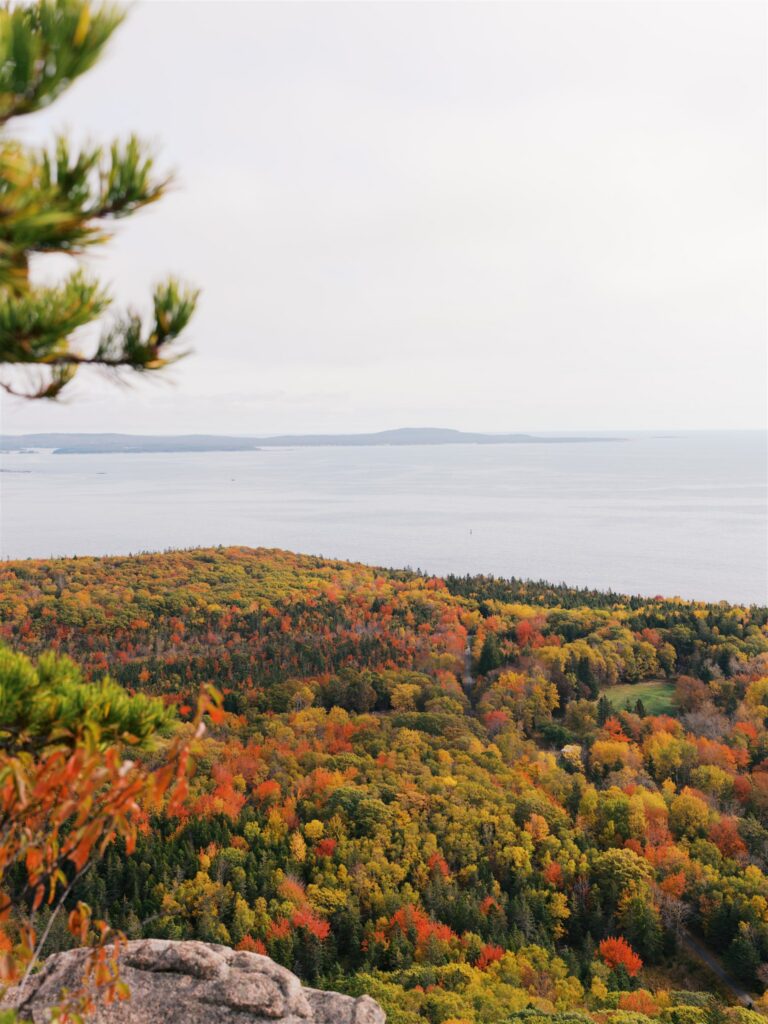 Vivid fall foliage cascading down to the deep blue Atlantic coastline in Acadia Maine
