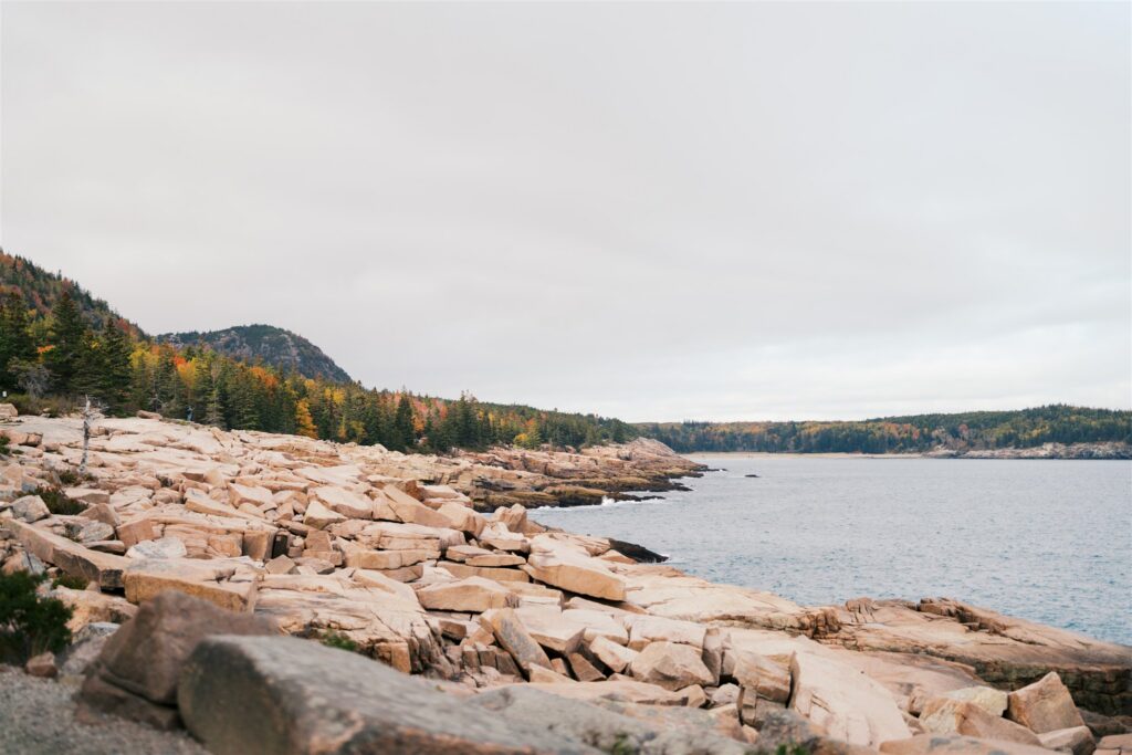 Rocky shoreline landscape along the Maine coast in Acadia National Park
