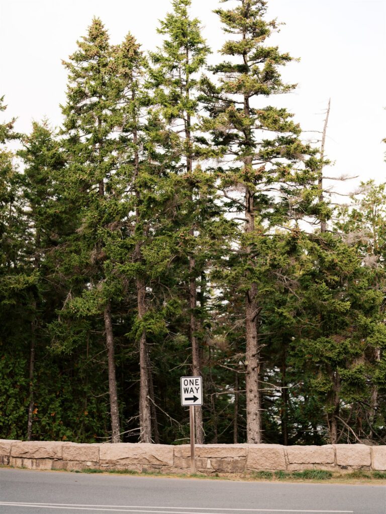 One way sign along the scenic Park Loop Road in Acadia Maine
