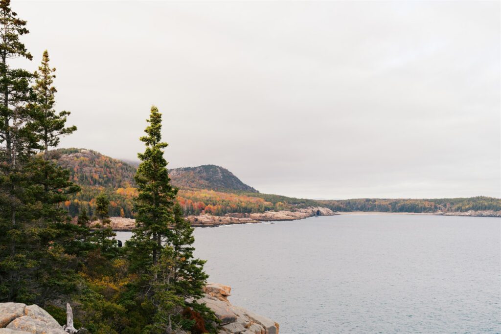Acadia