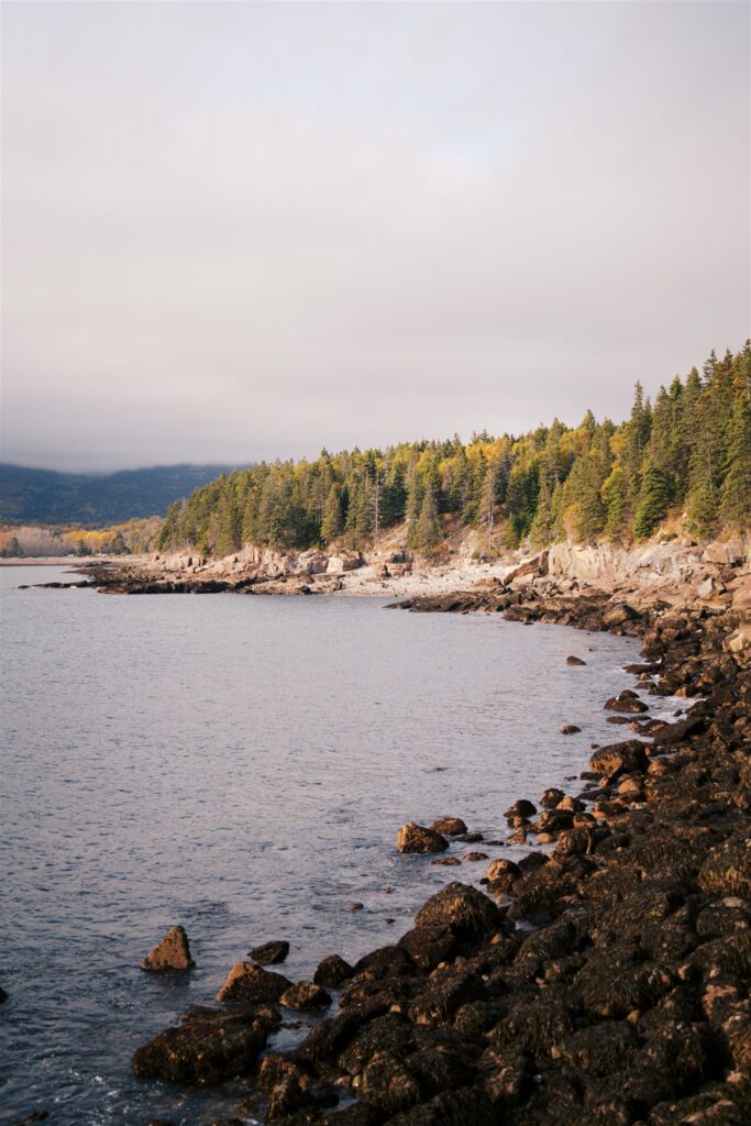 Acadia