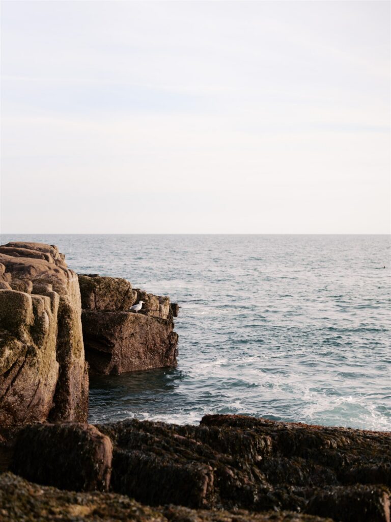 Acadia