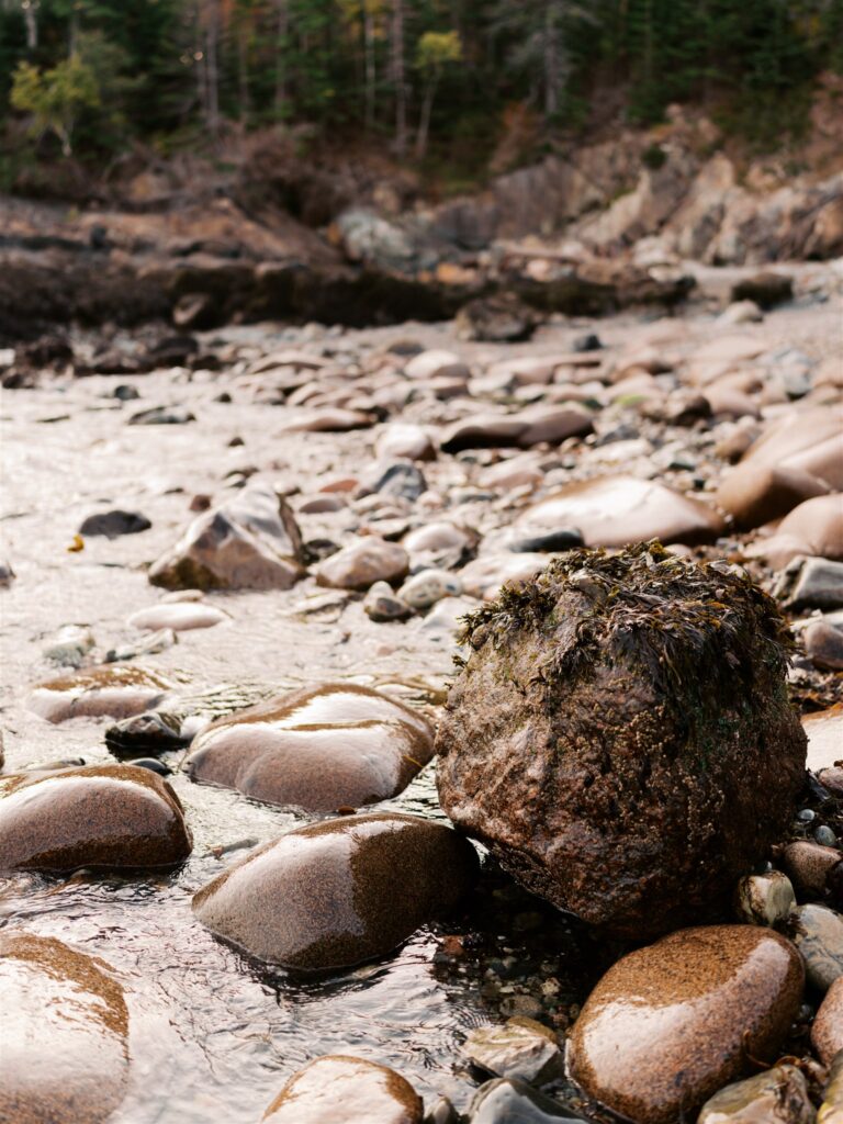 Acadia