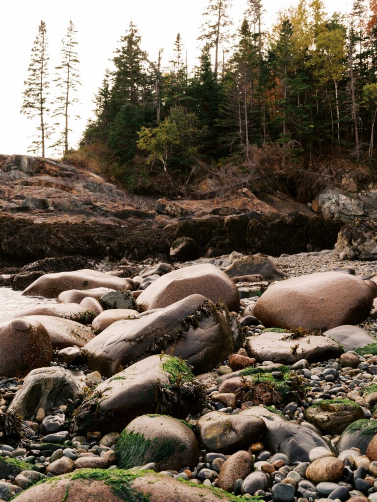 Acadia