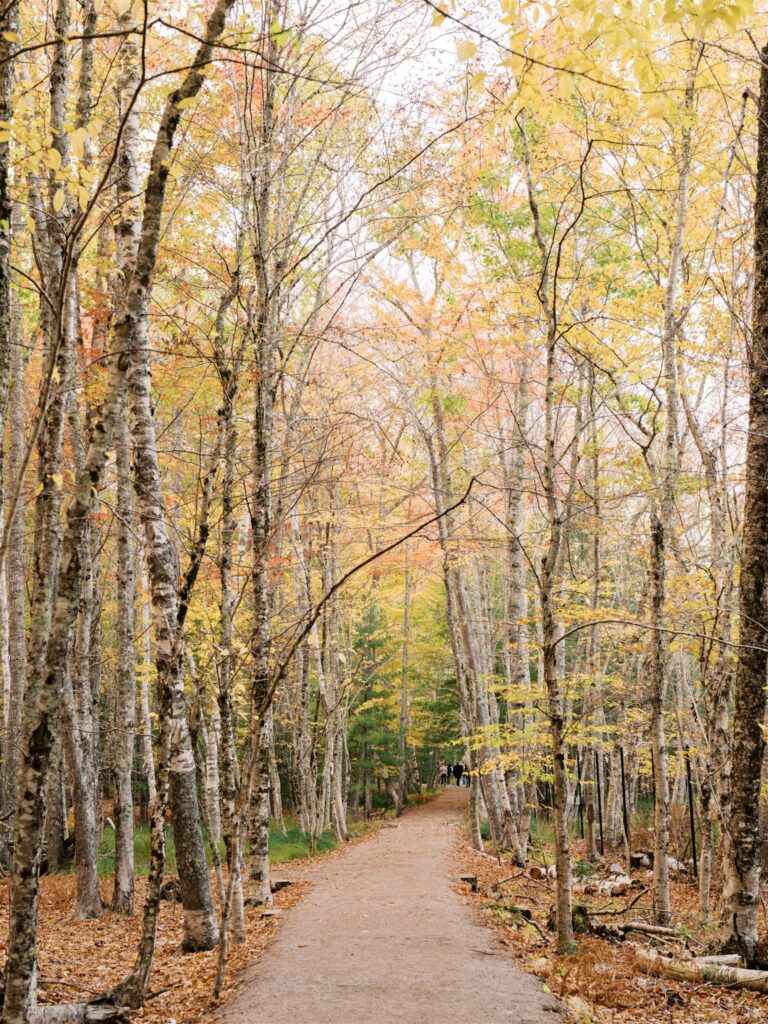 golden path