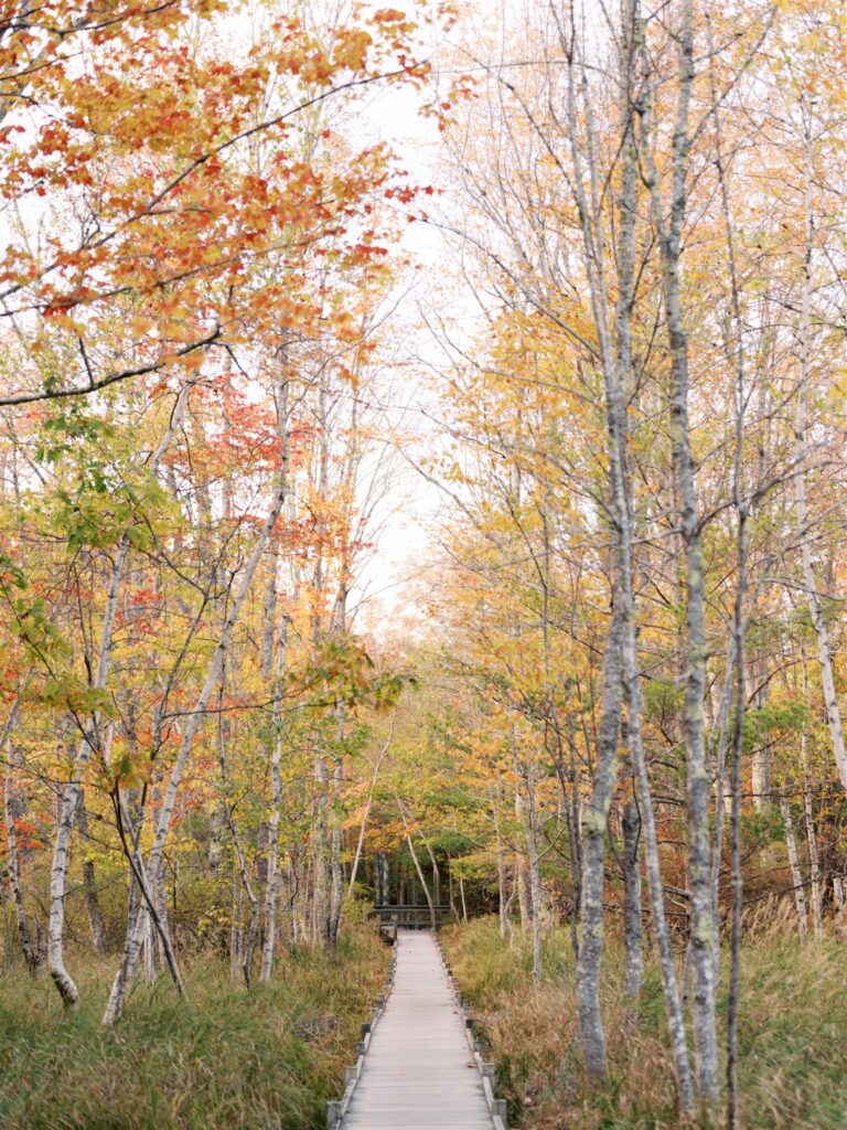 jessup trail
