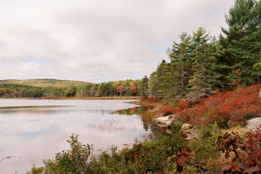 Witch Hole Pond reflecting the surrounding fall foliage along the Acadia carriage roads
