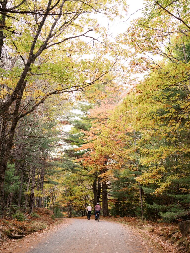 Cyclist riding along a crushed stone carriage road through the fall forest in Acadia Maine
