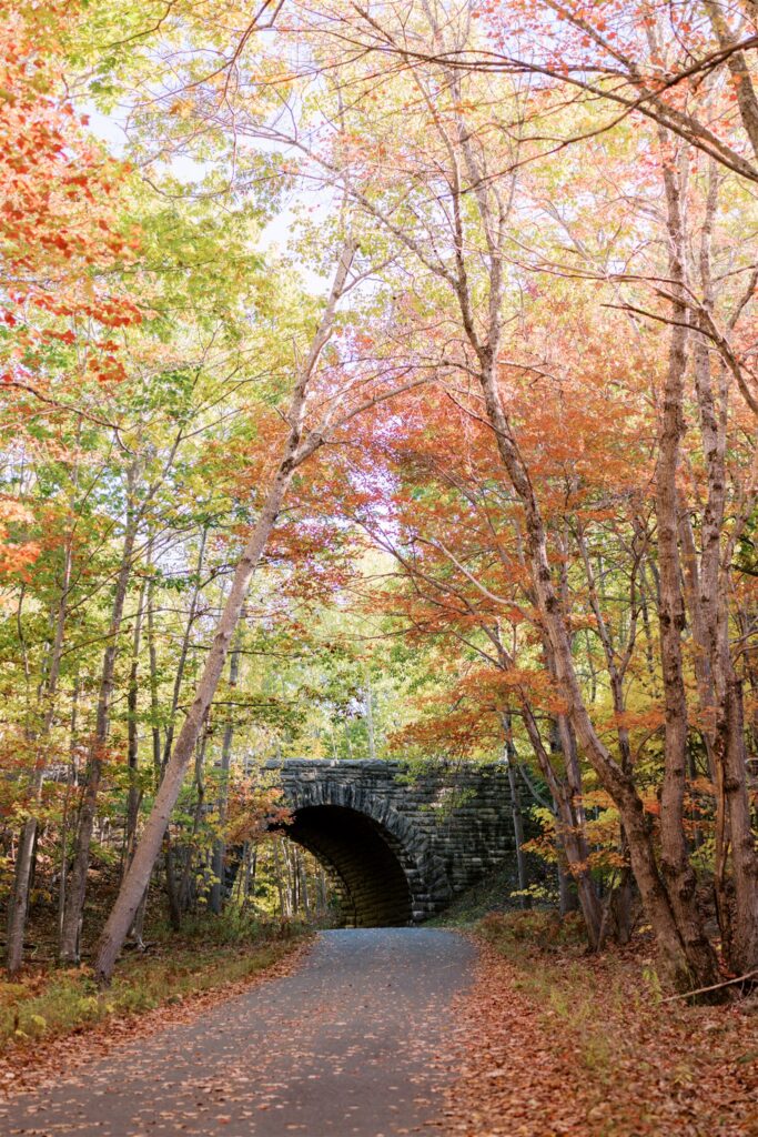 Historic stone bridge surrounded by peak fall color on the Acadia carriage roads
