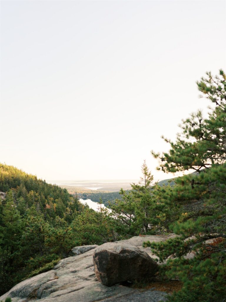 view from south bubble