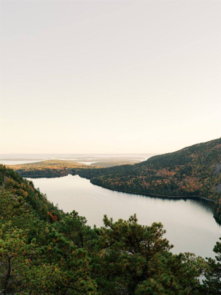 view from north bubble