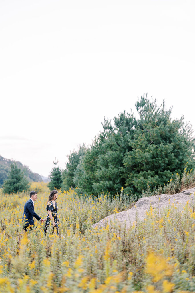 Engaged couple walking hand in hand through a flowering meadow at their Blue Ridge Parkway engagement session near Boone, NC